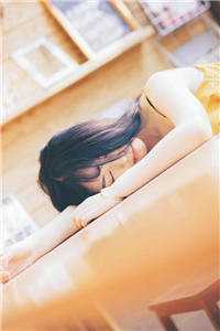 港城风月永不散陈泽生宋柚宁小说