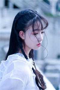 阴阳皆无情，拂袖乘华去阎屹寒赫连储全局