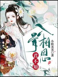 未了仙缘小说