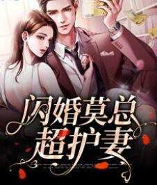 最美贵妃小说全文