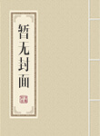 苏晚宁厉慕琛小说 苏晚宁厉慕琛小说